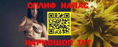 МДПВ Кунгур