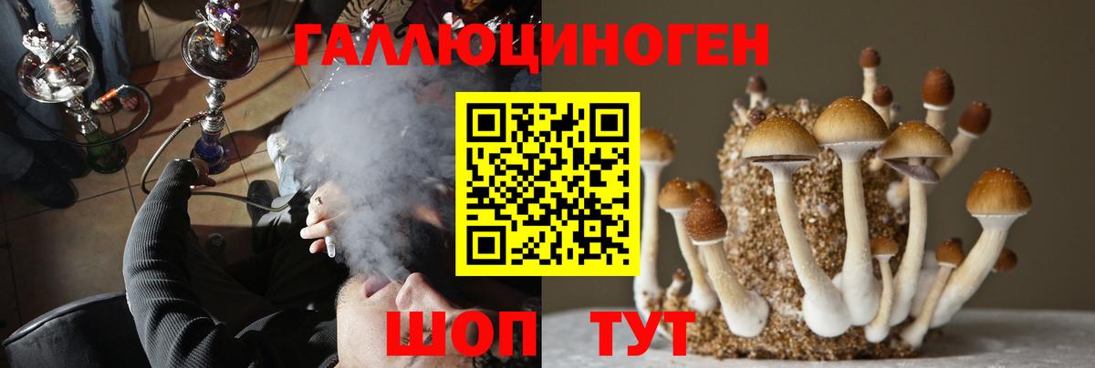 Псилоцибиновые грибы MAGIC MUSHROOMS Азнакаево